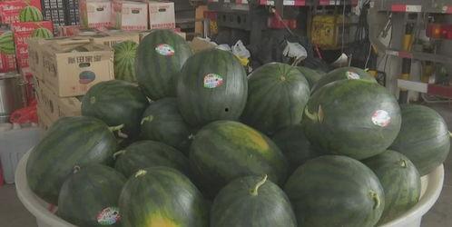 盐城吃瓜合集,吃瓜合集里的风味人生