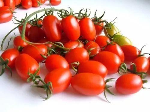 欣桐天津吃瓜,一场吃瓜与味蕾的双重盛宴