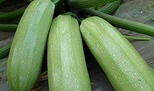 9月吃瓜榜首,揭秘娱乐圈最新热点事件