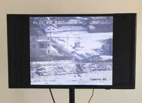 yoo吃瓜视频,揭秘娱乐圈幕后故事