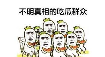 什么叫吃瓜群众啊,网络时代的围观者与传播者