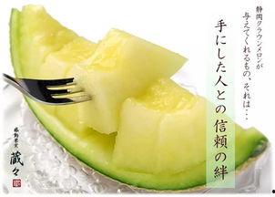 吃静冈瓜的视频,视频带你领略日本瓜果魅力