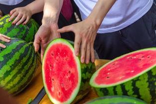 吃瓜的宣传,一场味蕾与视觉的双重盛宴