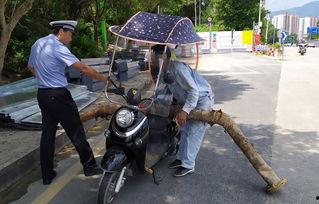 汽车人吃瓜群众,揭秘汽车圈那些不为人知的幕后故事