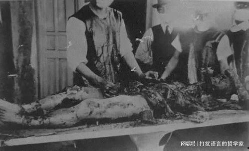 活体解剖吃瓜,揭秘医学教育的残酷与必要