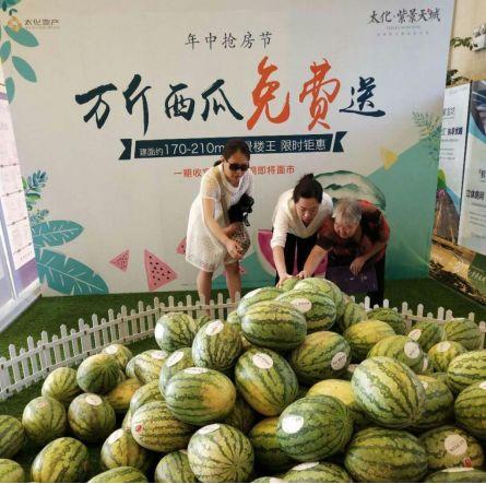 吃瓜中心头像,趣味头像背后的故事