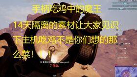 辰小呆瓜吃鸡,欢乐与智慧的碰撞