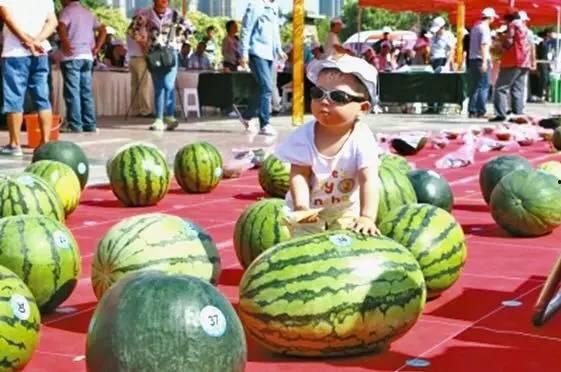 吃瓜龙泉,揭秘网络热点的幕后故事