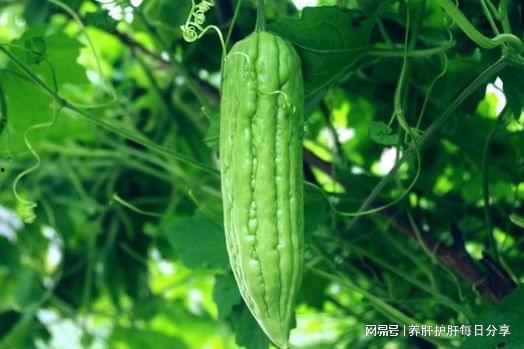 天全中医院吃瓜,吃瓜群众探秘医院内部生活